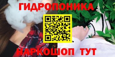 прущие грибы Абакан