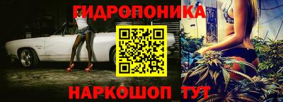 прущие грибы Абакан